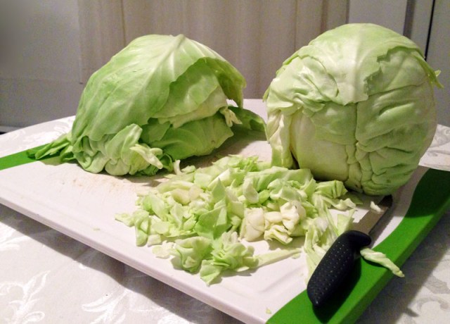 cabbage